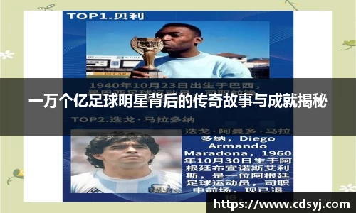 金沙集团1862cc成色